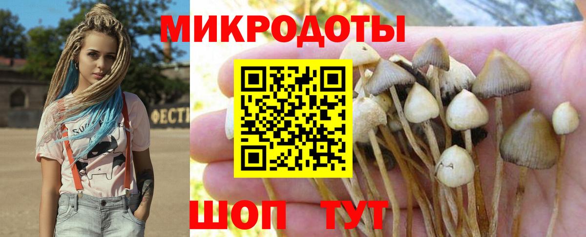 Касимов  Псилоцибиновые грибы Magic Shrooms  Вход с VPN 